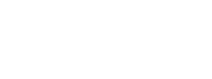 Logo Nemo power tools France